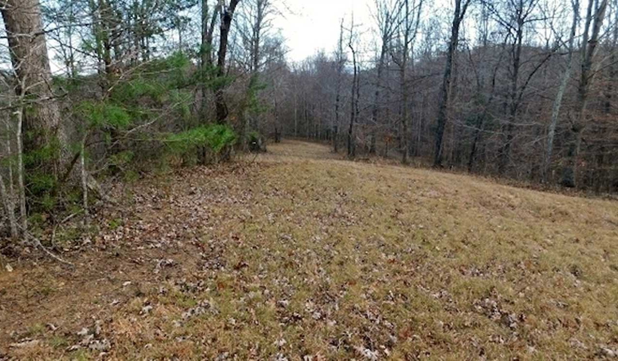 Residential land real estate to buy in bedford County VA