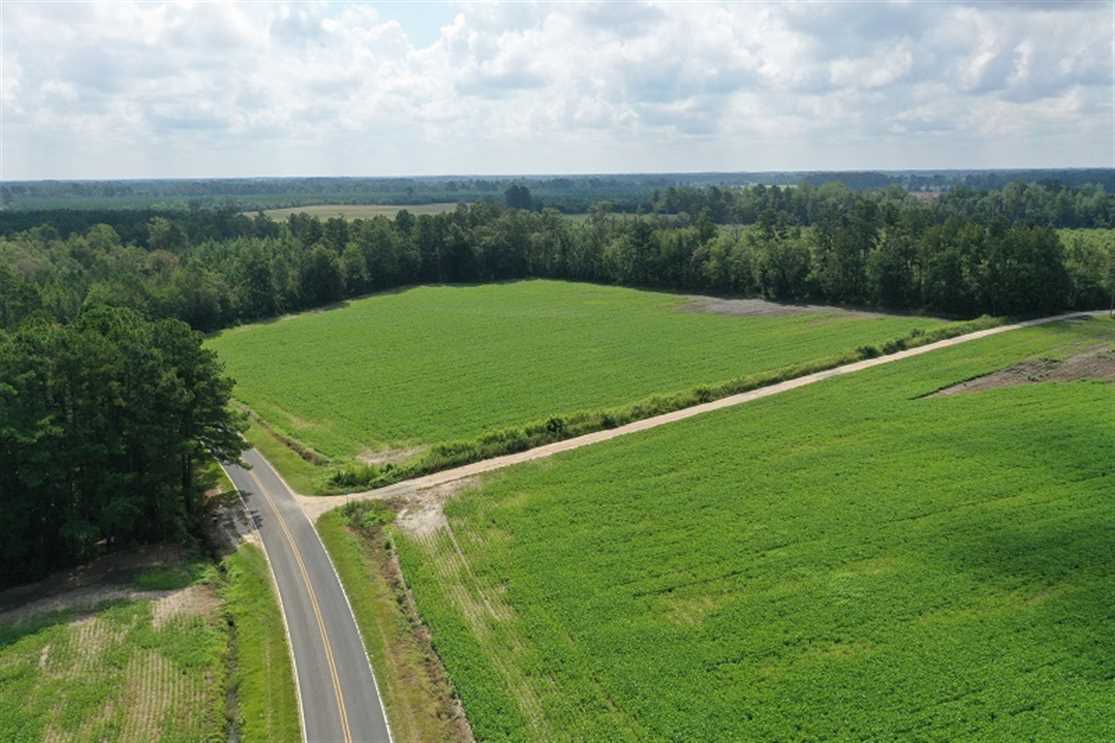 Residential and   property for sale on The Land Market