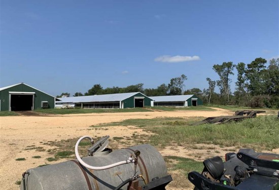 162 Acres of Land for Sale in cleveland County Arkansas