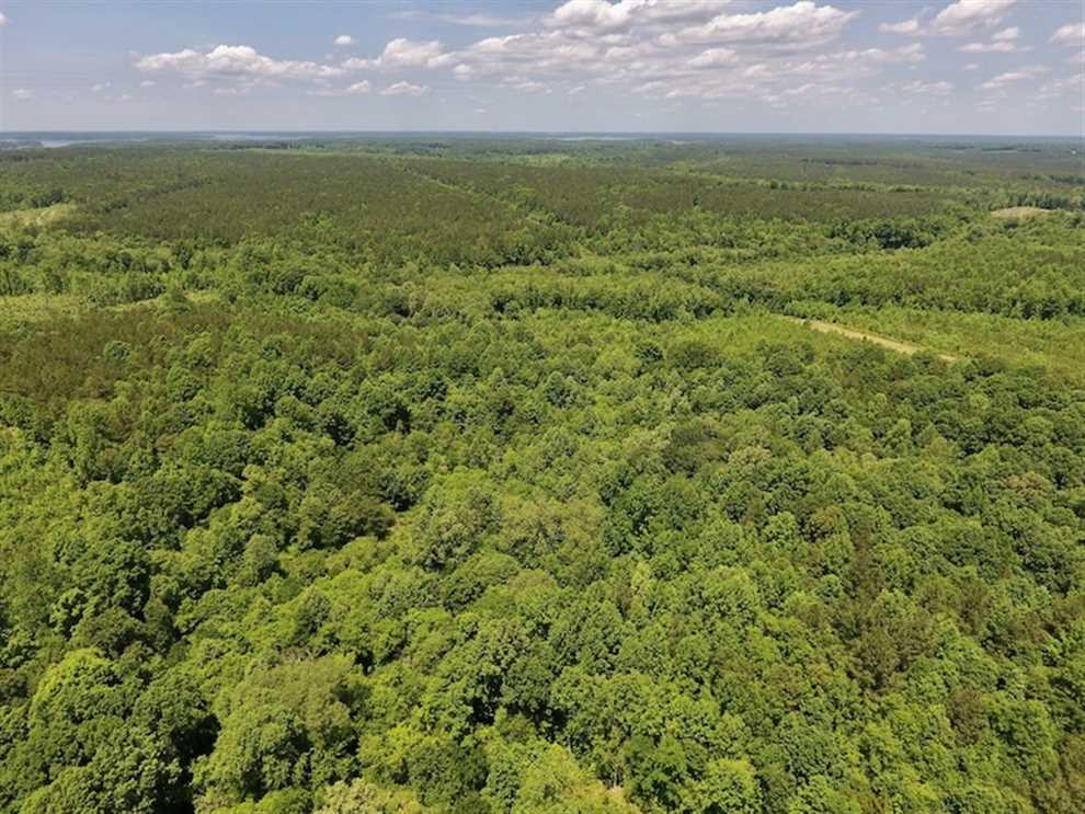 property for sale on The Land Market