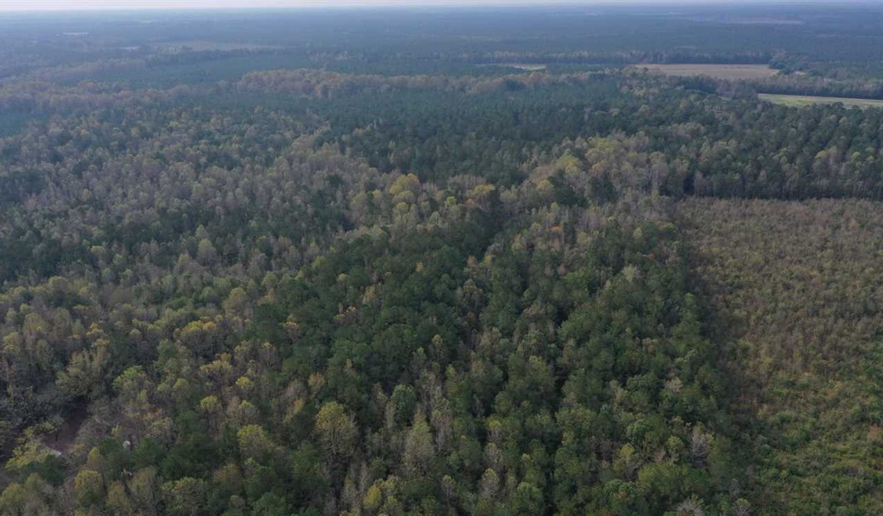 halifax County, North Carolina property for sale