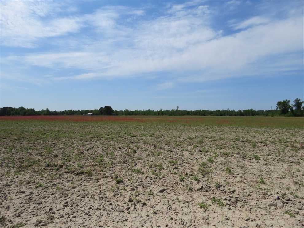 Land for sale at Boyd Road