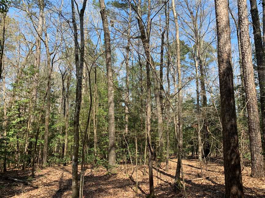 union County, Louisiana property for sale