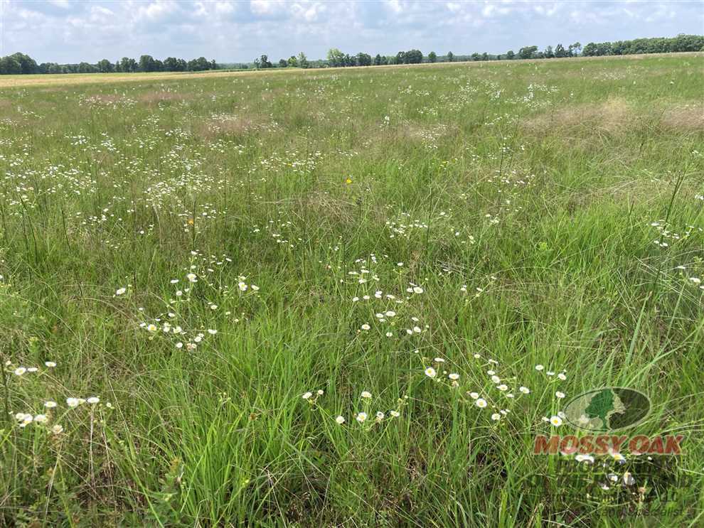 Houses and land for sale in Kansas