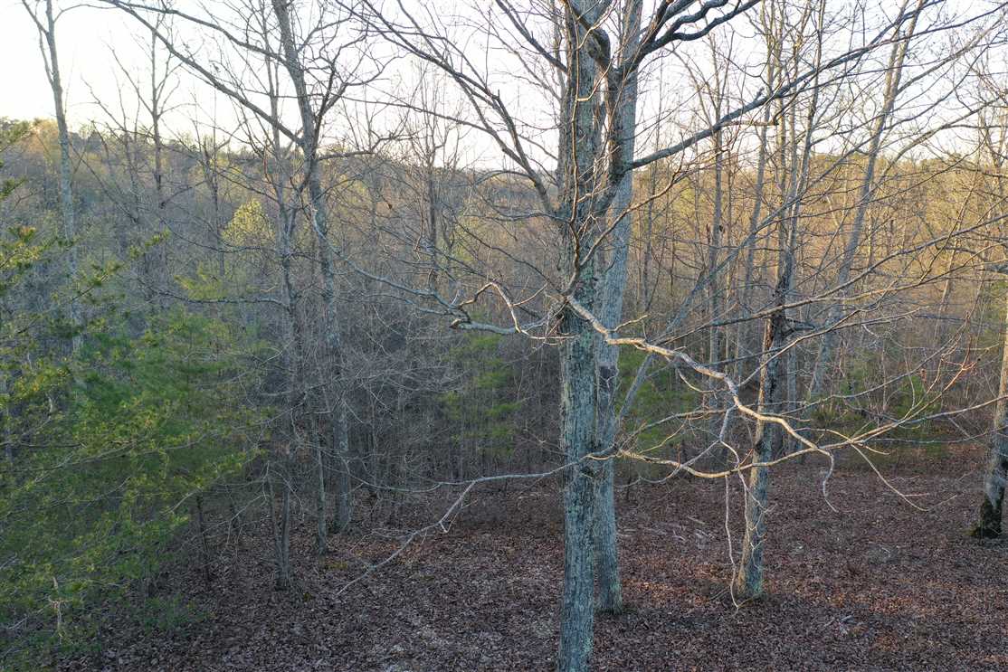 Beautiful 4+ acre lot minutes from Kentucky Lake in the Lakewood Ranches Development! Real estate listing
