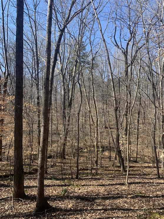 Property for sale at 6910 Long Meadow Lane