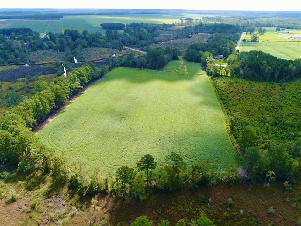 Farmland real estate available to buy