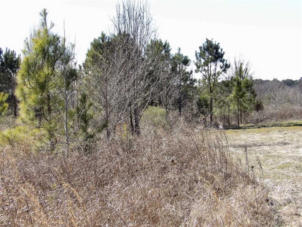 Recreational and   property for sale on The Land Market