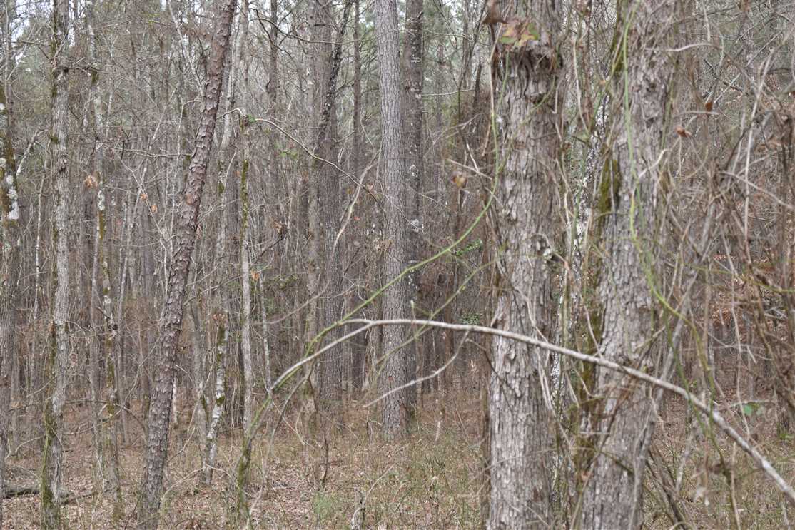 10 Acres of Land for sale in nevada County, Arkansas