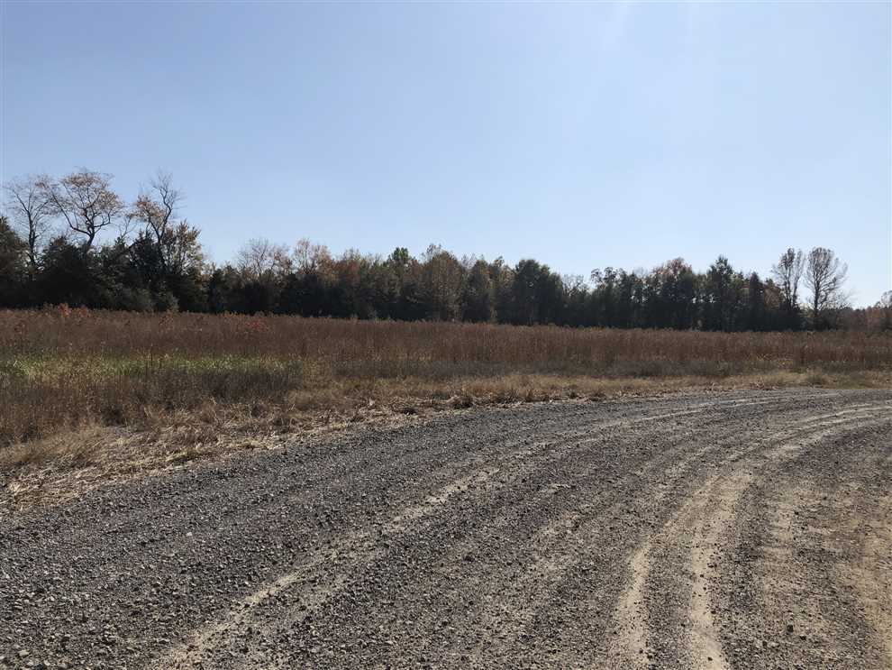 271.96 Acres of Timberland land for sale in Searcy, white County, Arkansas