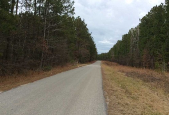 100 Acres of Land for Sale in caldwell County Louisiana