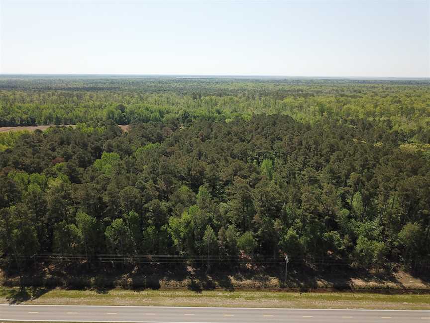 Timberland real estate available to buy