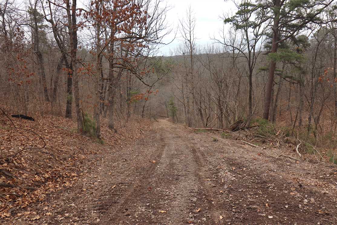 Timberland real estate available to buy