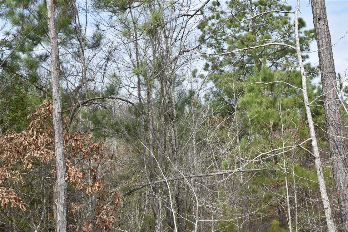 Land for sale to buy in 71857 zip code