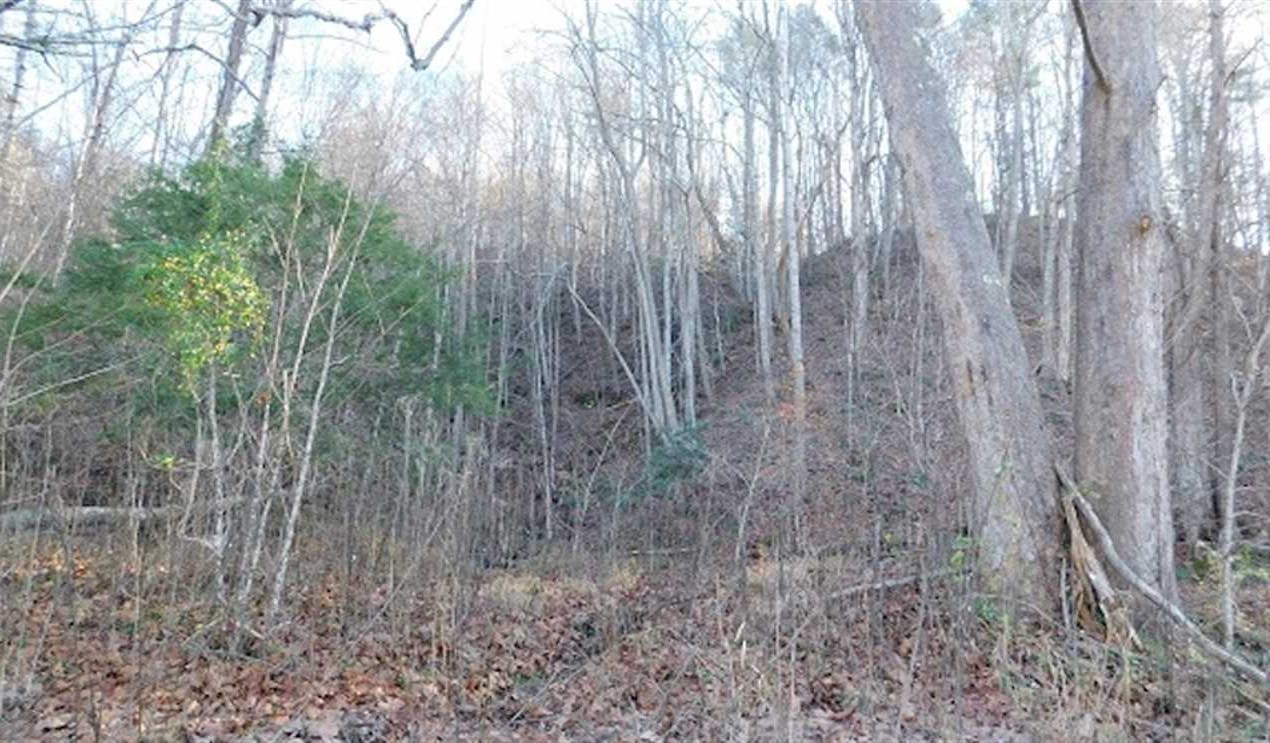 47.72 Acres of Residential land for sale in Hiwassee, pulaski County, Virginia