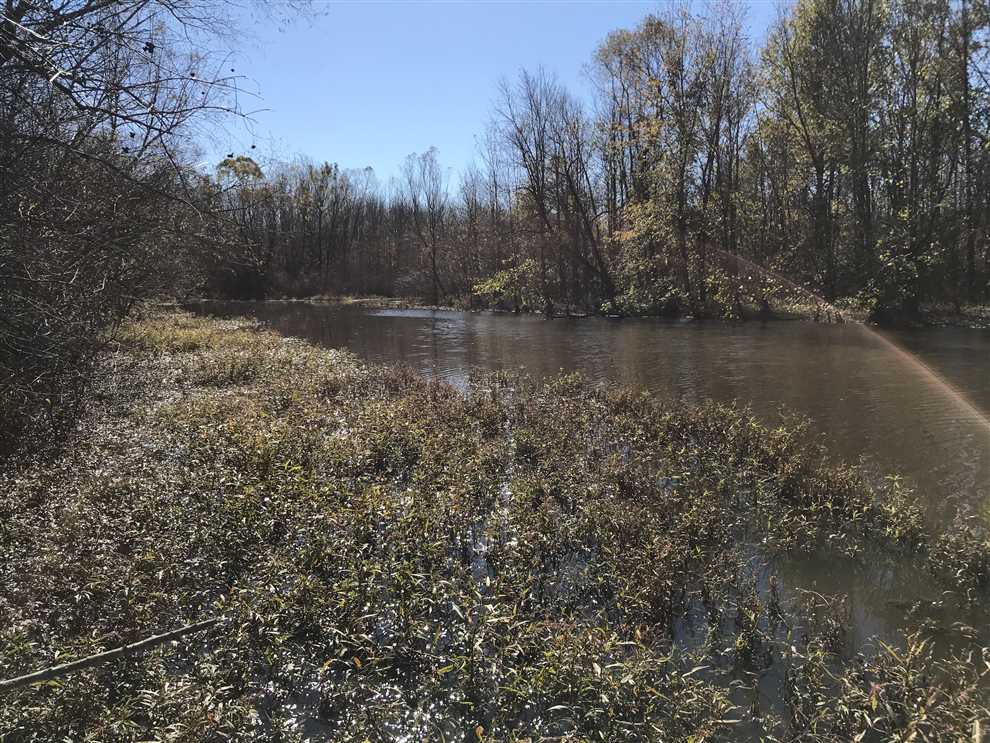 Property for sale at County Rd 173