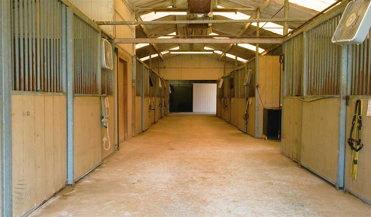 Barefoot Farms - Income Producing Horse Facility - Denton County Real estate listing