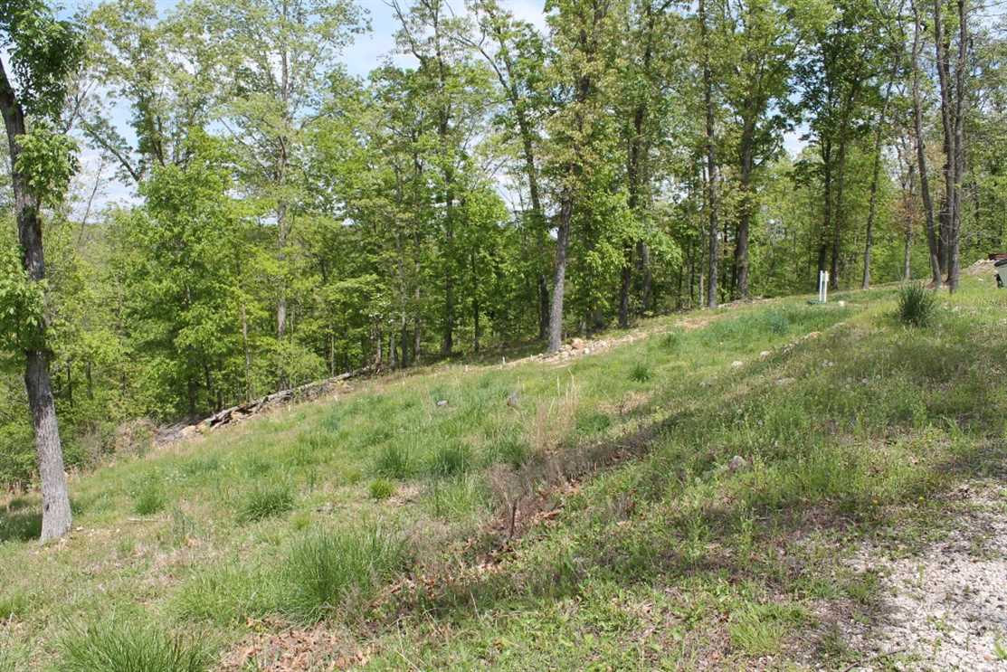 6 Acres of Land for sale in wayne County, Missouri