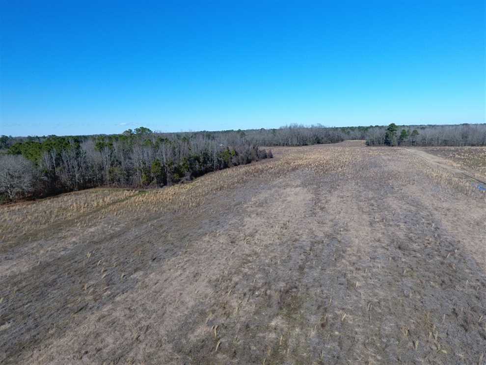 Land for sale at Off Mill Branch Rd.