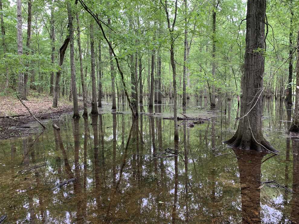 Houses and land for sale in Arkansas