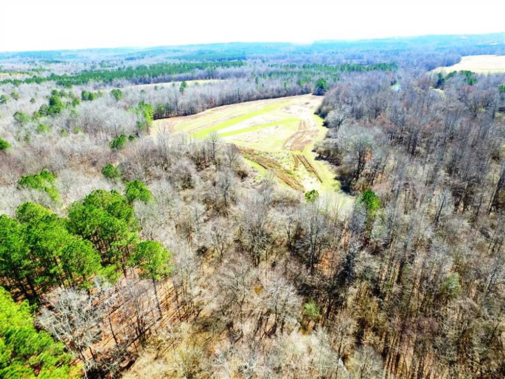 220 Acres of Residential land for sale in Hubbertville, fayette County, Alabama