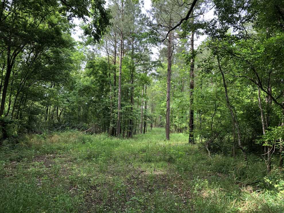 39.5 Acres of Land for sale in pulaski County, Arkansas