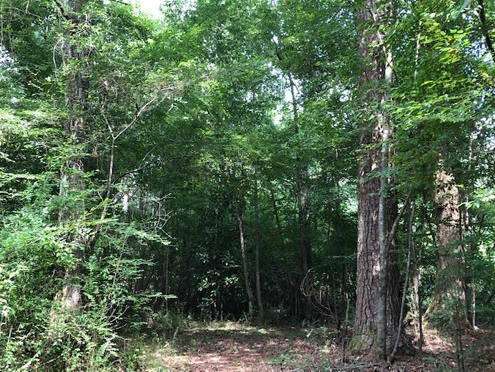 Land for sale at
