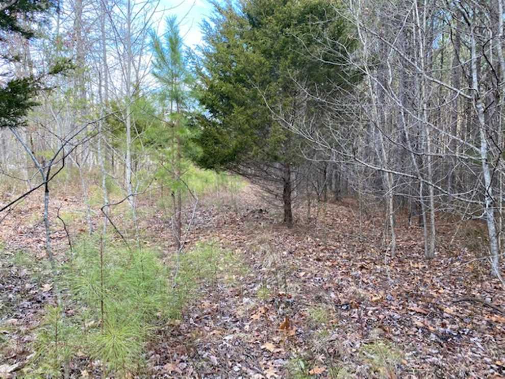 Land for sale at Lot 18 South Pittsburg Mtn Road