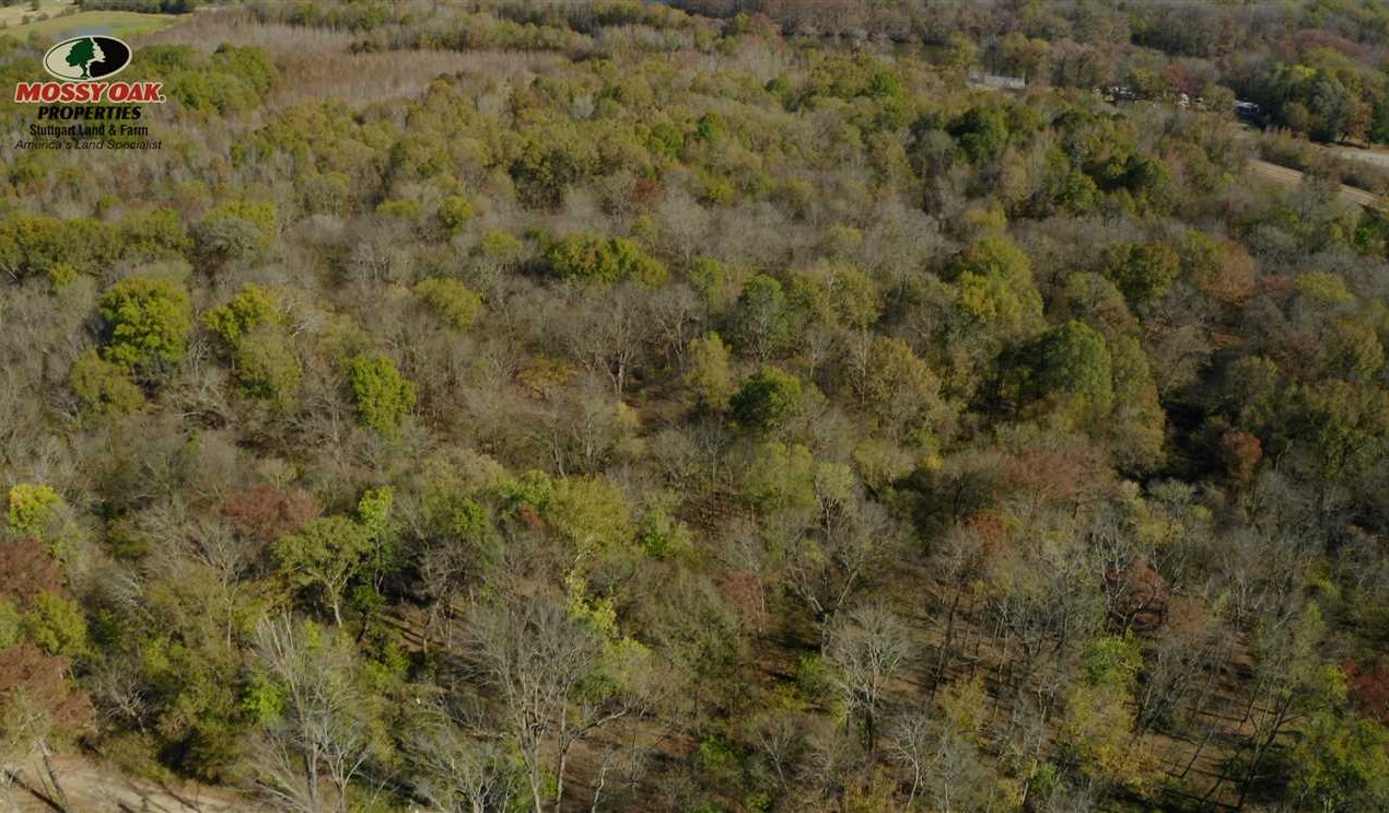 Residential and   property for sale on The Land Market
