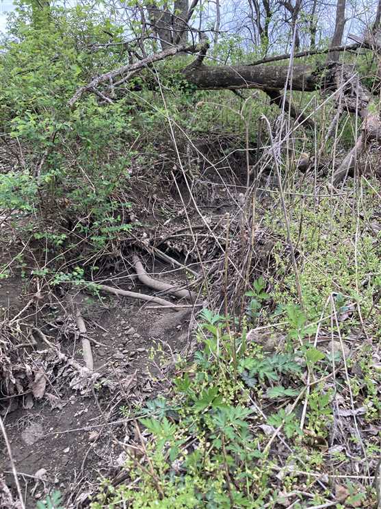 Land for sale to buy in 66710 zip code