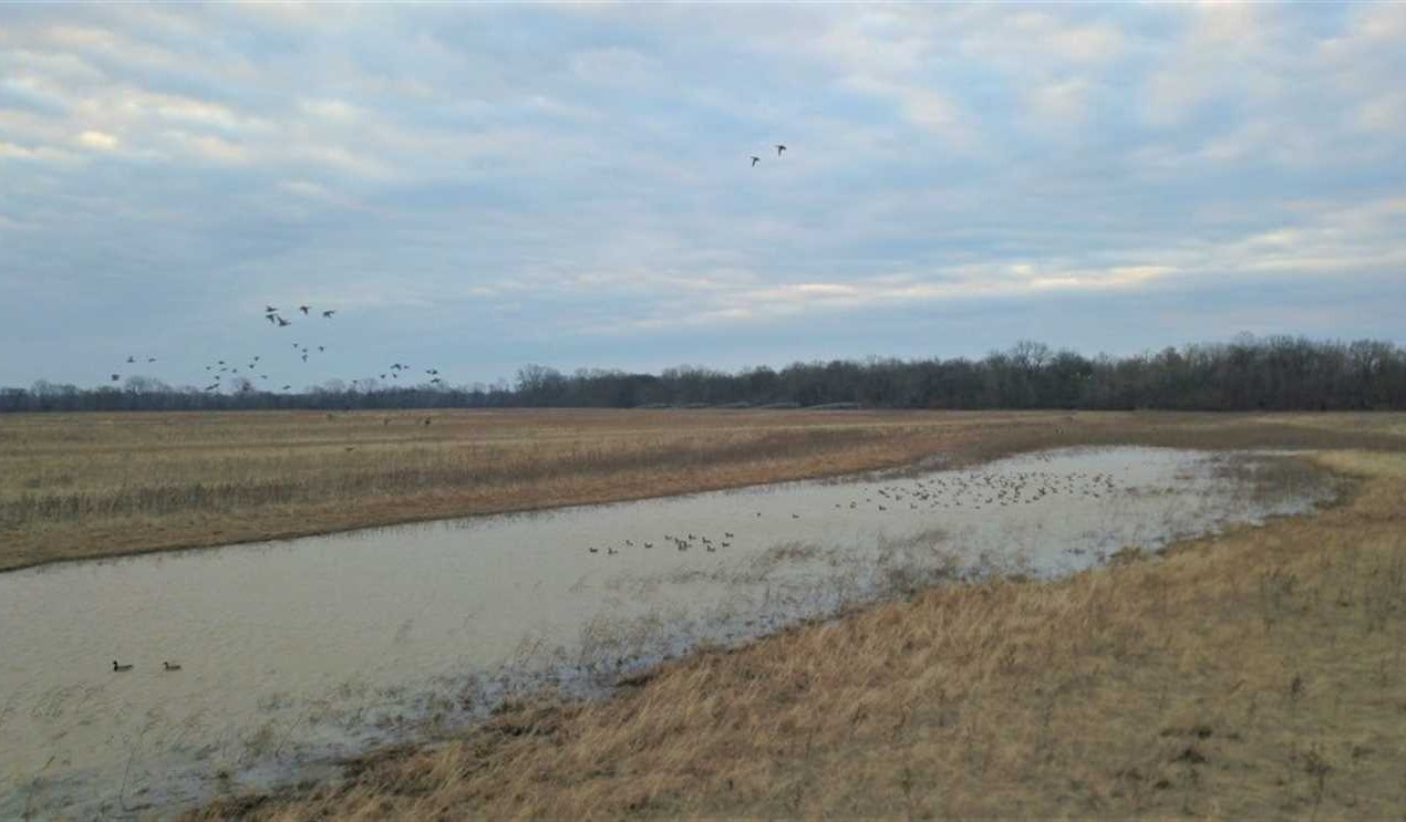 1809 Acres of Land for sale in white County, Arkansas