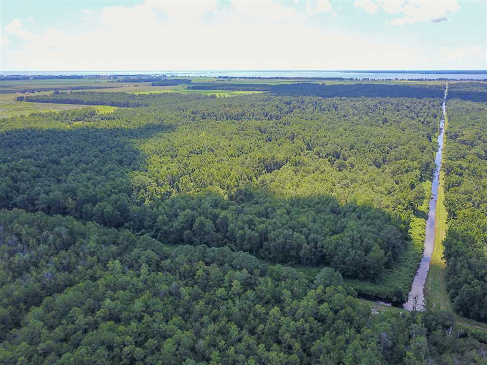 hyde County, North Carolina property for sale