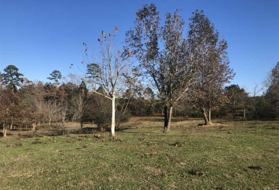8 Acres of Land for Sale in leake County Mississippi