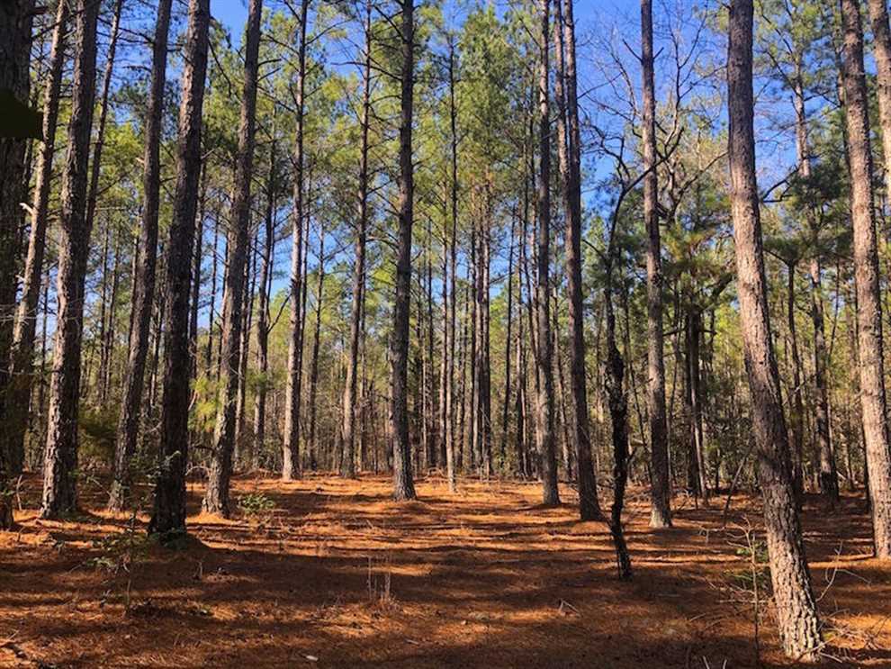 10.1 Acres of Residential land for sale in Sanford, lee County, North Carolina
