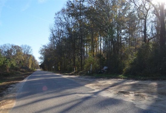 15 Acres of Land for Sale in macon County Alabama