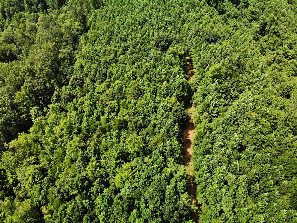 Land for sale at 00 Haystack Road