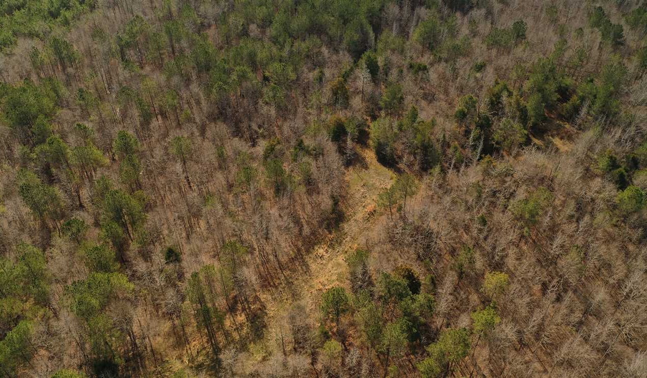 92 Acres of Land for sale in clay County, Mississippi