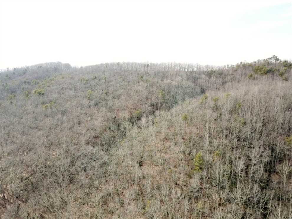 Houses and land for sale in Virginia