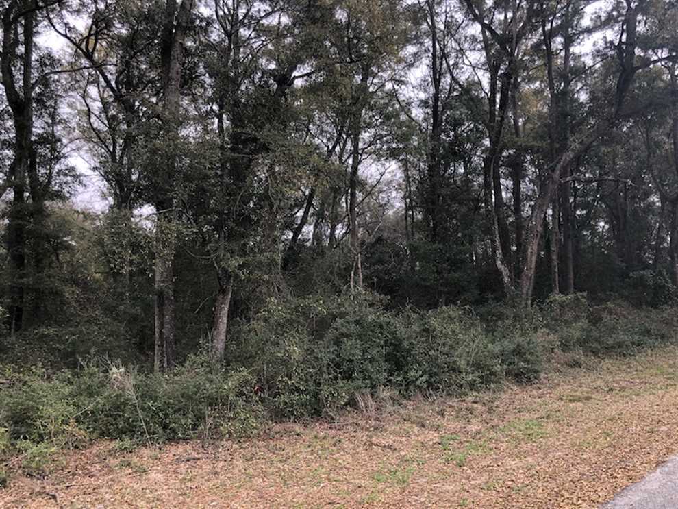 0.57 Acres of Land for sale in horry County, South Carolina