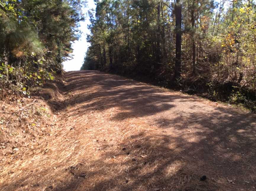 Property for sale at FM Rd 1751