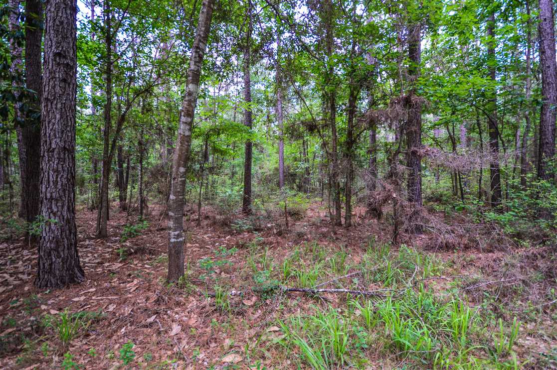 property for sale on The Land Market