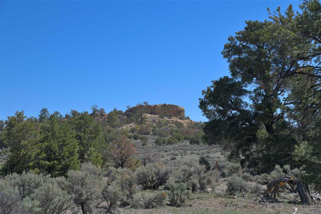 640 Acres of Land for sale in sandoval County, New Mexico