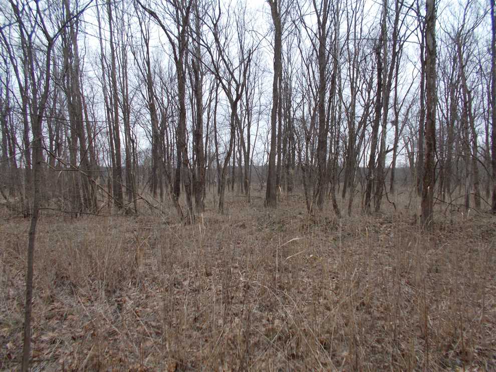 133 Acres of Land for sale in vermillion County, Indiana