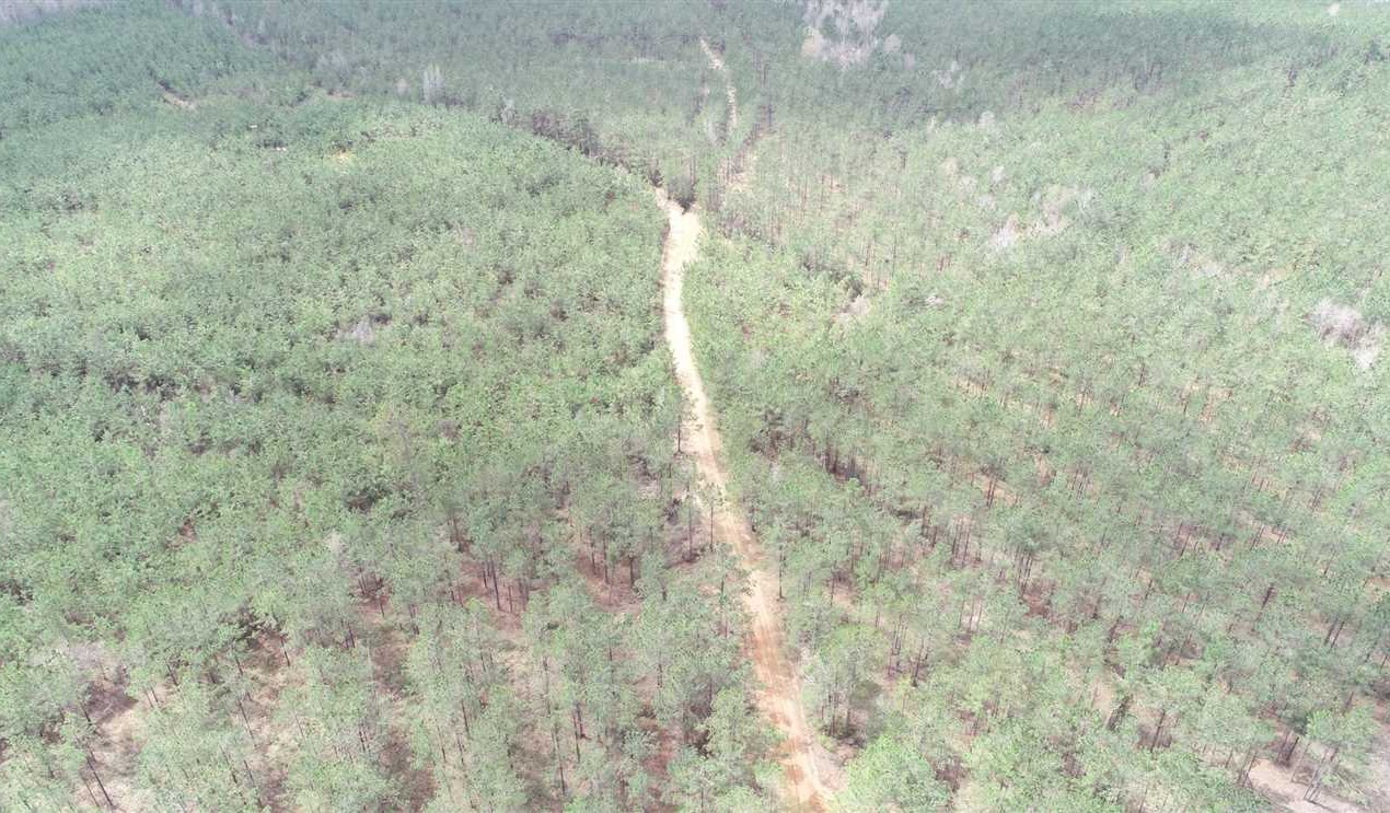 Natchitoches land available for purchase