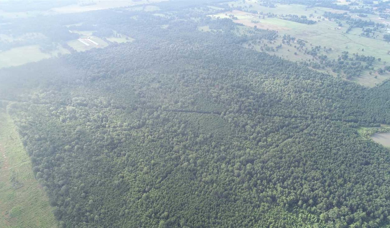 358 Acres of Recreational land for sale in Fouke, miller County, Arkansas