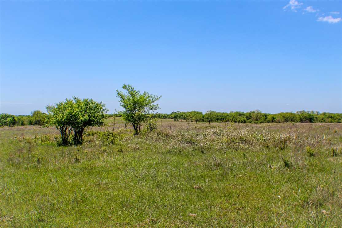Clearview 160 Real estate listing