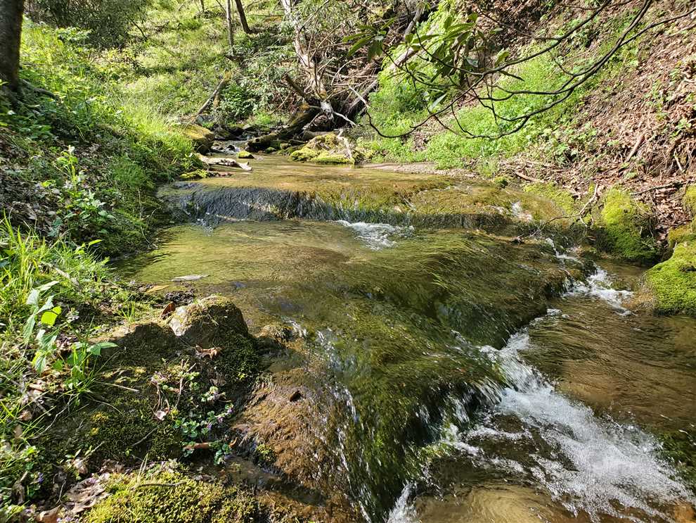 Land for sale to buy in 28645 zip code