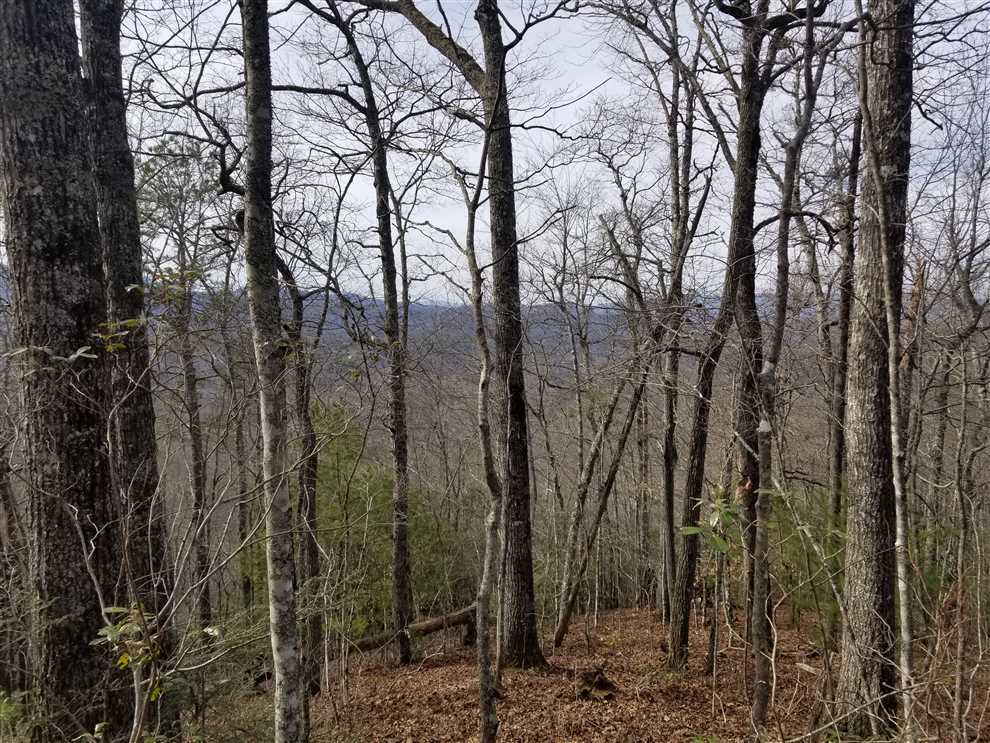 Property for sale at 00 Brush Creek