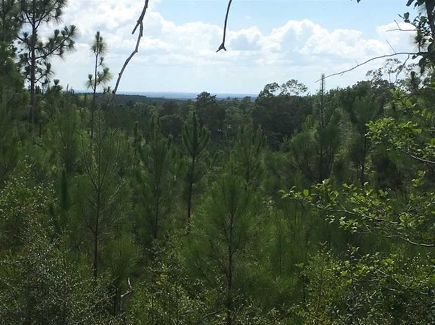 Timberland real estate available to buy