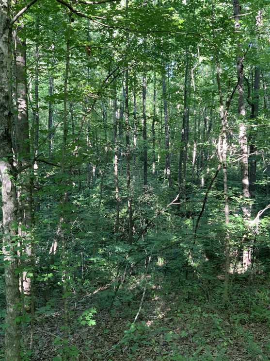 Houses and land for sale in Tennessee